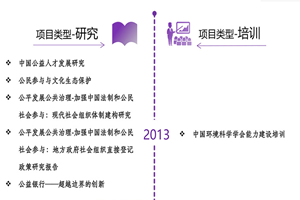 暴操骚逼非评估类项目发展历程